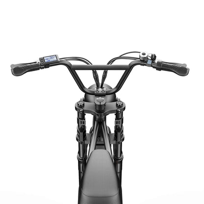Powerful C91 48V 17.5Ah 1000W Electric Bicycle - 50-70KM Range, 150KG Load Capacity, 20" x 4" Tires